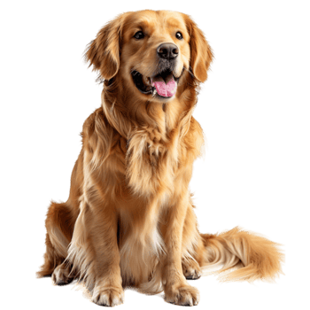 Join Pawrents Club
