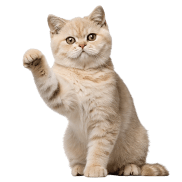 Join Pawrents Club